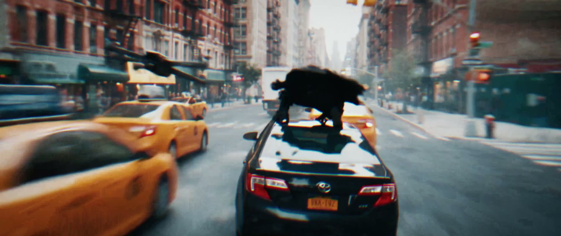 Still from Bear Witness